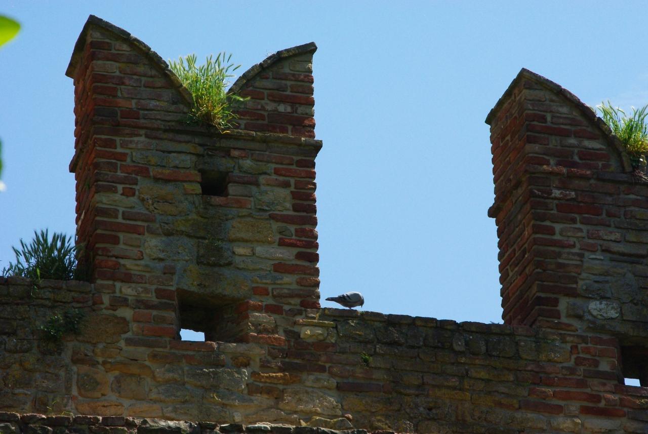 Villa Dircea CastellʼArquato Dış mekan fotoğraf